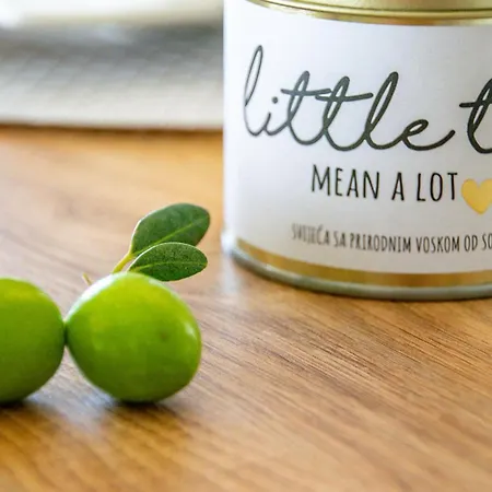 Olivarum * Stankovci (Zadar)